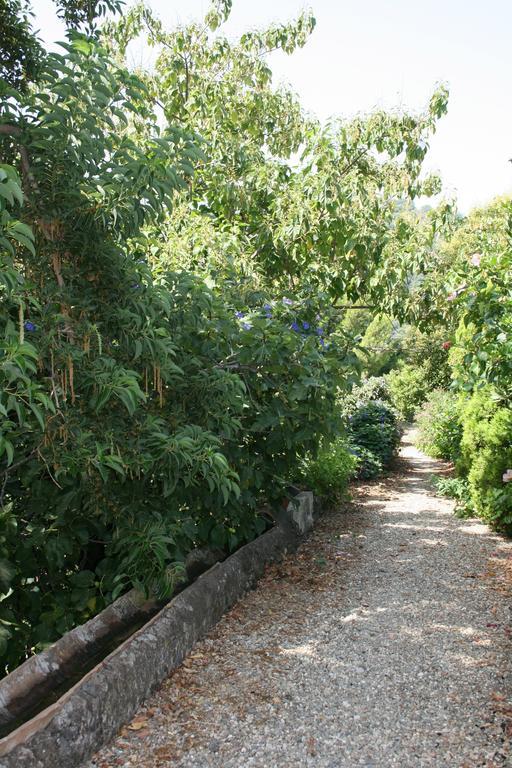 Villa Dei Leoni Санта-Текла Экстерьер фото